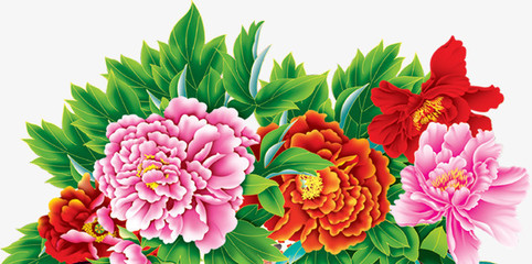 牡丹花開富貴圖 免費高清PNG素材，點綴你的創(chuàng)意設計