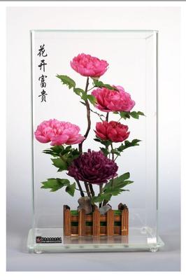 菏澤特產|牡丹“不凋花” 永不凋謝的牡丹苗木